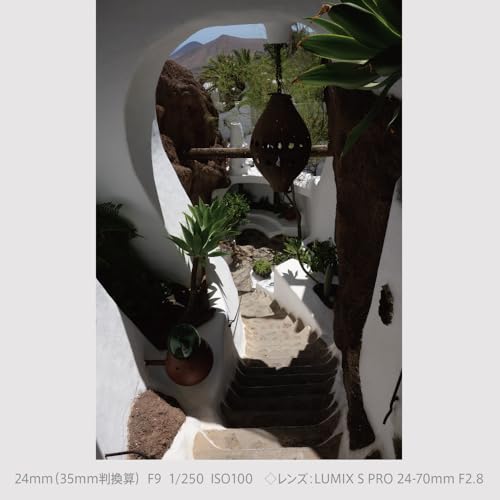 Image of Panasonic LUMIX S9 Full Frame Camera with 20-60mm F3.5-5.6 L Mount Lens, DC-S9KS (Silver) (International Model)