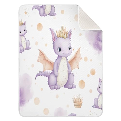 Image of Qilmy Cute Dragon Baby Blanket for Boys Girls Kids with Soft Cotton, Cute Cozy Warm Nursery Receiving Swaddle Blanket for Toddler Infant Crib, 30 x 40 Inch