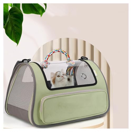 L L[obO yĎ^т₷ L[ L ω׏d7kg LpL[P[X Oybgpi,Green