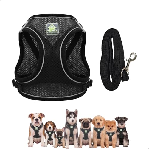 Pettorina Cane, Pettorina per Cani Pettorinas Cane Taglia Piccola con Guinzaglio 1,2m, Pettorina Riflettente Traspirante Leggera Regolabile per Passeggiate all’Aperto e Gite Quotidiane, Nero
