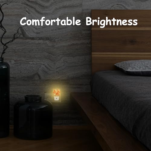 Image of Vintage Orange Flowers Night Light Plug Wall,Poppy Bouquet Oil Painting LED Night Lights with Dusk to Dawn Light Sensor for Women Girls Boys Room Decor,Hallway,Kitchen,Bathroom,Nursery,Stairs