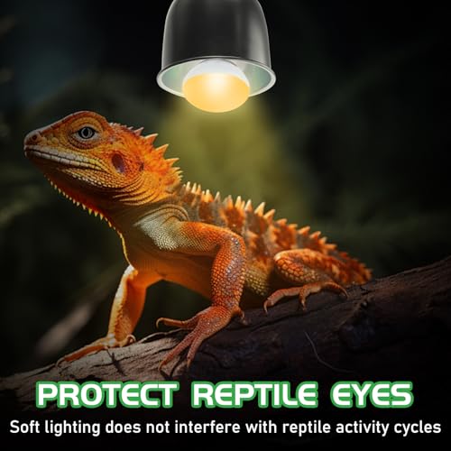 REPTI HOME Reptile Heat Lamp Bulbs, UVA Reptile Heat Bulb 2 Pack, 40 Watt Heat Light Bulbs, Daylight Basking Spot Light for Lizard, Bearded Dragon, Snake, Gecko by REPTI HOME - Used condition - Image 5