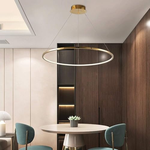 Plafond décoratif gras en acier inoxydable suspendu pour sublimer l'ambiance du salon