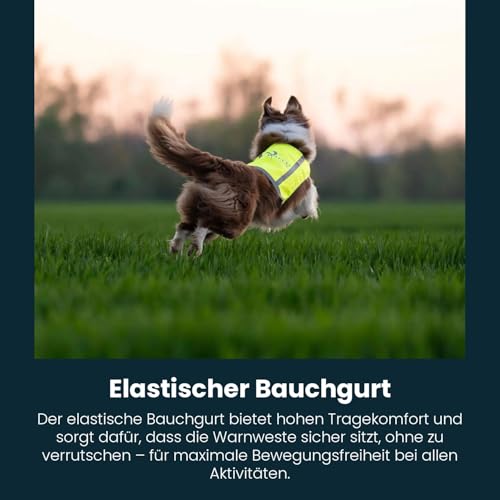 Axaeco Hunde Warnweste - wendbar in Signalgelb & Signalorange, extrem Robustes Cordura (Wind- & wasserdicht), 3M™ Reflektorstreifen, elastischer Bauchgurt (L)