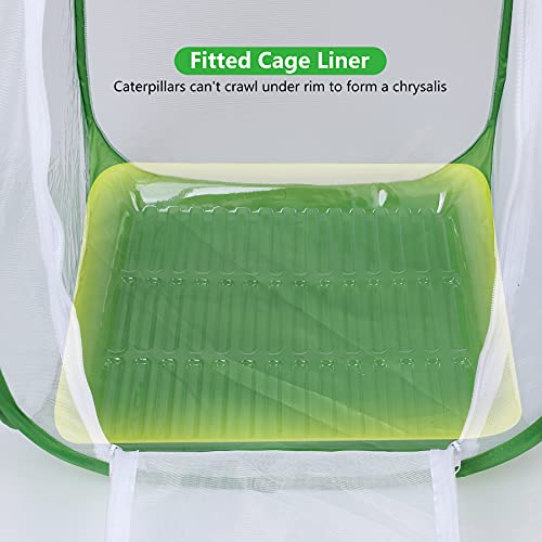 Butterfly Habitat With Poo Poo Platter, Butterfly Cage With Poo Poo Tray, Monarch Butterfly Cage 24 Inches Tall #TOP3