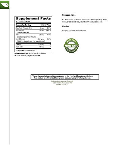 Zinc Plus | 30 Mg Of Zinc Bis-Glycinate Chelate & Riboflavin, Vitamin B6, Molybdenum, Taurine, Malic Acid | Supports Immune Function | 90 Vegetarian Capsules #TOP4