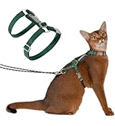 PS5 Stray x Travel Cat  猫用ハーネス リード付 Mサイズ Pet Supplies : Travel Cat & Stray Cat Harness and Leash Set