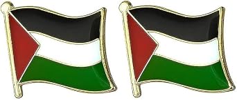 2 PCS Palestine Palestinian Flag Pin Badge Lapel Palestine National Enamel Badge Armband