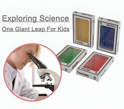 Ninyoon 48pcs Mikroskop Objektträger mit Proben für Kinder - Kinder präpariert Mikroskop Objektträger für Mikroskop, Tiere Insekten Pflanzen Blumen Proben