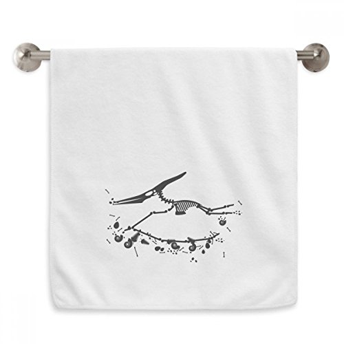 Serviette moelleuse dinosaure pour le soin du visage et de la peau