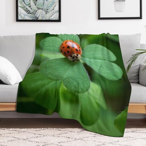 Couverture plaid chaude confortable flannel molleton toute saison - 3