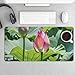 Beautiful Lotus Flowers Desk Mat Non-Slip Laptop Writing Pad Large Keyboard Mousepad with Rubber Base 23.6