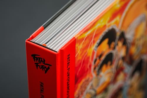 Fatal Fury/Garou Densetsu: The Ultimate History – vue 3