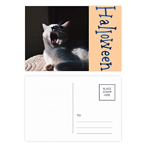Cartes postales de remerciement motif chat Yawn pour transmettre toute votre affection