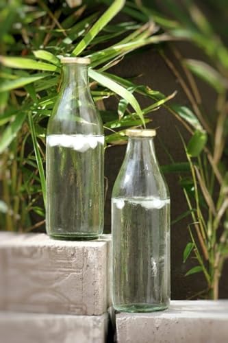 Image of 300ml Glass Bottles with Lids, Clear, 6 Pack, Easy‑Pour Neck, Dishwasher Safe, Fridge Safe