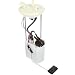 Delphi FG1316 Fuel Module
