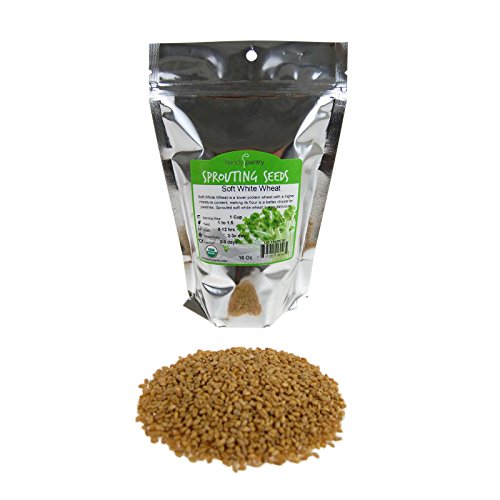 Handy Pantry Soft White Wheat Organic 1 Lbs Resealable Pouch for Food