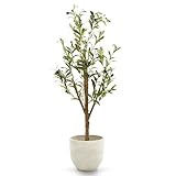 Maia Shop Plantas Decorativas - Olivo Artificial Minimal 105 cm - Planta Artificial Decorativa para Hogar y Oficina, Árbol Artificial Realista con Maceta Incluida, Estilo Mediterráneo Moderno