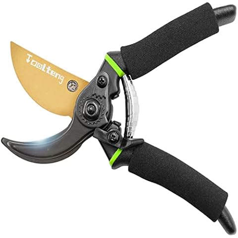 TOOLTENG Premium Titanium Bypass Pruning Shears, Heavy Duty Ultra Sharp Garden Scissors, Professional Hand Pruners, Tree Trimmers, Hedge Clippers, Garden Shears and Rose Clippers Tools for Gardening Cover