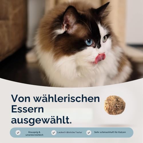 Ziwi Peak Steam & Dried Katzenfutter Rind 800 gr. – Ansicht 2
