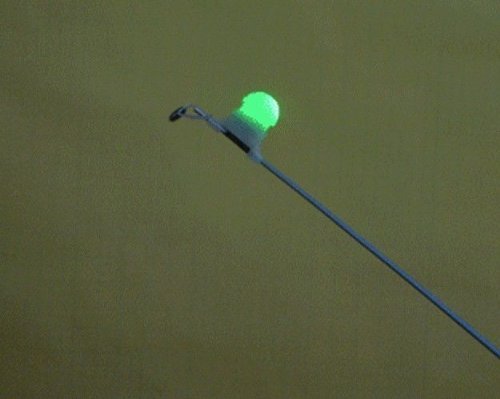 Prettyui Sea Fishing LED Rod tip Night Light Strike Alert Glow Stick bite Alarm