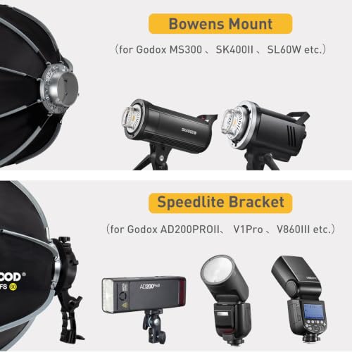 LAPGOOD FS60 23.6in Softbox with Grid, S-Type Bracket & Bag