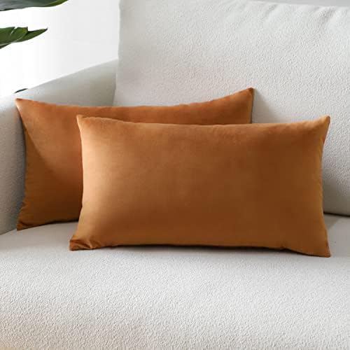 Sungeek Pack of 2 Velvet Cushion Covers Soft Decorative Pillow Covers with Invisible Zipper Luxury Throw Pillow Cases for Home Decor Sofa Bedroom Living Room 30x50cm Black