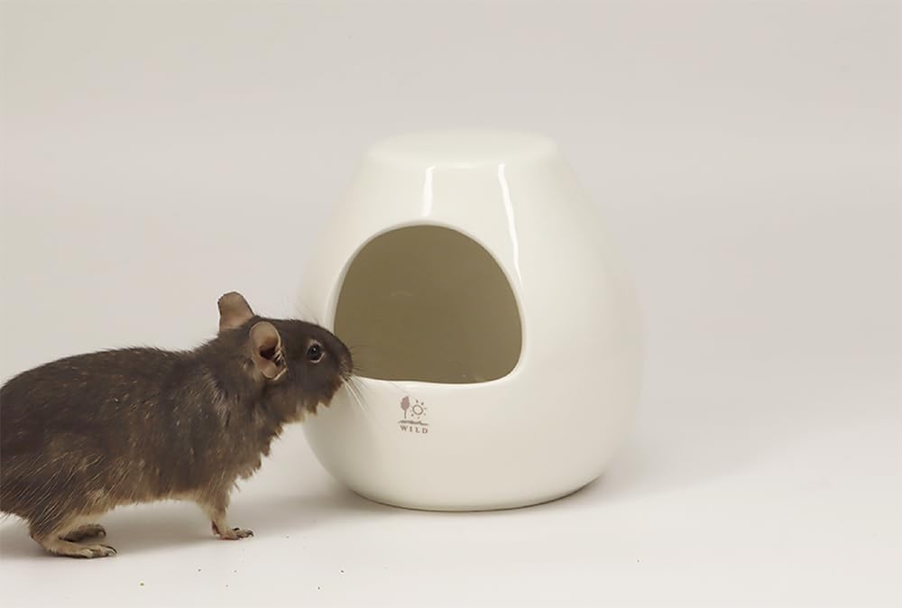 Amazon | 三晃商会 SANKO 小動物用 ポットハウス M | SANKO | 飼育