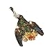 Zucker Feather Products Lady Amherst Pheasant Pelt #2 w/Crest - Natural,