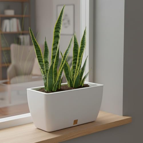 Image of GARDENCIA Self Watering Flower Pots for Outdoor Indoor Gardening /Rectangle Big Plant Pot with Polypropylene UV Material /Decorative Modern Gamla (Recta Big White, Pack of 3)