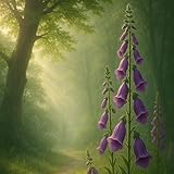  Breathing Beyond Form