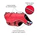 Kurgo Surf n’ Turf Dog Life Jacket | Lifejacket for Dogs | Dog Water Life Vest | Kayak Life Jacket for Pets | Dog Rain Jacket | for Pool or Lake | Reflective | Machine Washable | Chili Red (Medium)