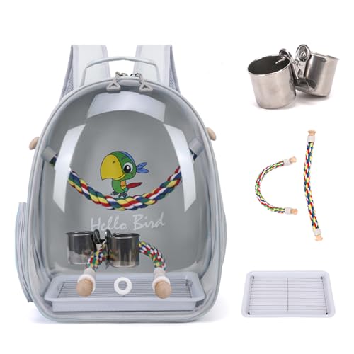 Chewes Kwen p L[obO p CR L[ bN p UP[W o o[hLA Oo ^ ܂肽ݎ  ZLZCCR IJCR L[P[X UAsAʉ@Ap̒iO[j