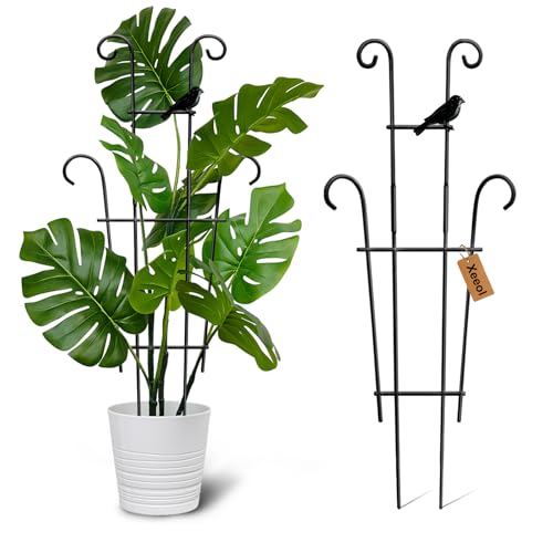 Image of 23in Plant Trellis Indoor, Trellis for Potted Plants with Bird, Garden Trellis Climber Support for Climbing Plants Pothos Hoya Vine