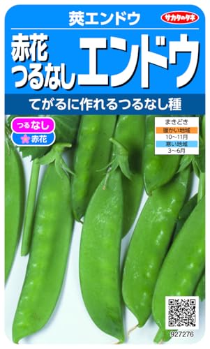 TJ^̃^l 7276 ԉԂȂGhE 䰃GhE