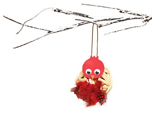 Baker Ross Piume Maculate Fai da Te per Creazioni