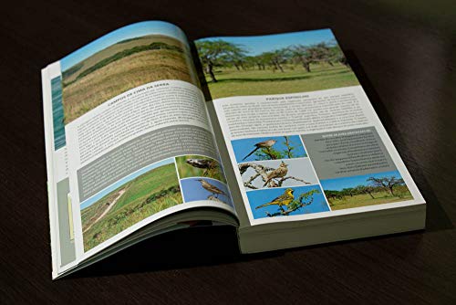 Aves do Rio Grande do Sul: Guia de Identificação - Coleção Aves do Brasil - Lançamento!