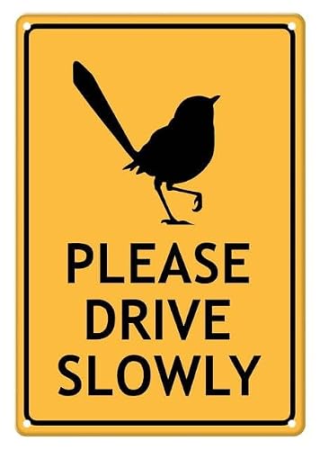peiyeety Fairy Wren Please Drive Slowly Aluminum Tin Sign for Home Kitchen Wall Decor 12X8Inch