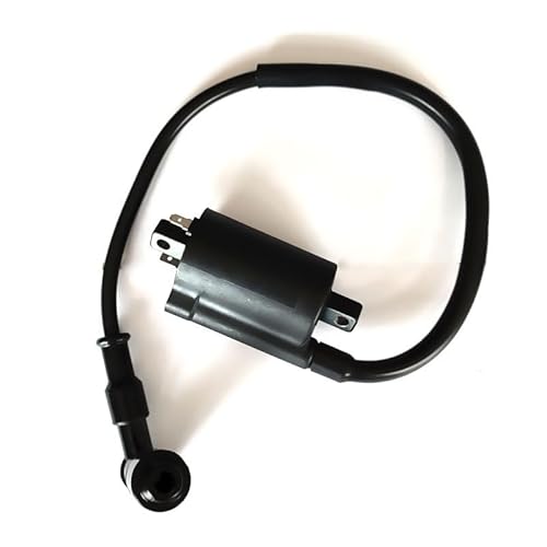 ＤｅｅｐａＲｉｂｕｓｕ GN125イグニッションコイル