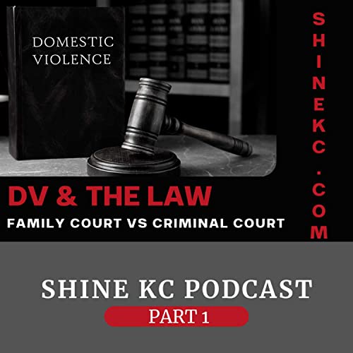 Family Court vs Criminal Court Part 1