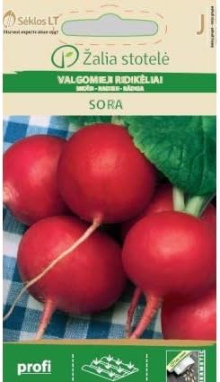 Graines De Zinnia Flamme Écarlate | Annuelle Rouge Vif | Plus De