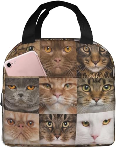 lȐё ۗ⃉`obO ٓ 킢 e ܂ y RpNg fMA~V[g |Pbgt g[gobN