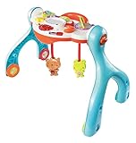 VTech Lil' Critters 3-in-1 Baby Basics Gym (Discontinued by manufacturer)
