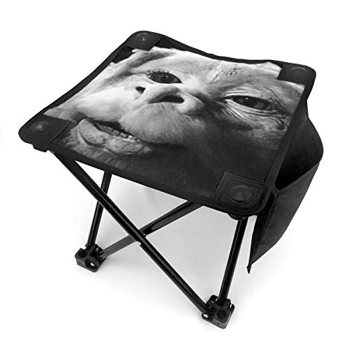 Falkorネバーエンディングストーリーのラックドラゴン2キャンプスツール折りたたみSamllチェアキャンプフィッシング用ポータブルキャンプスツール Falkorネバーエンディングストーリーのラックドラゴン2キャンプスツール折りたたみSamllチェアキャンプフィッシング用ポータブルキャンプスツール