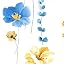 Blue & Yellow