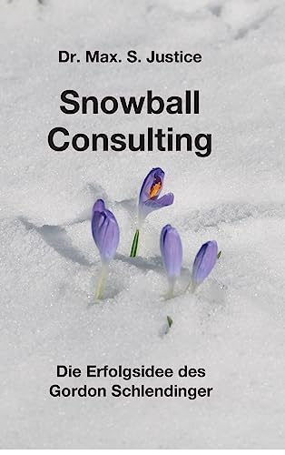 Snowball Consulting (German Edition)