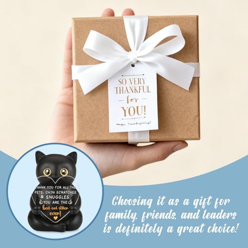 VYNWPDFLI Thank You Gift for Cat Sitter with Appreciation Message, Pet Sitter Appreciation Present, Long Term Cat Sitter Farewell Gift, Heartfelt Resin Keepsake for Pet Caregivers, LSS28 by VYNWPDFLI - Image 8