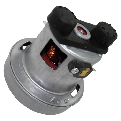 Moteur Aspirateur RS-RT900587 ROWENTA Aspirateur RS-RT900587 ROWENTA
