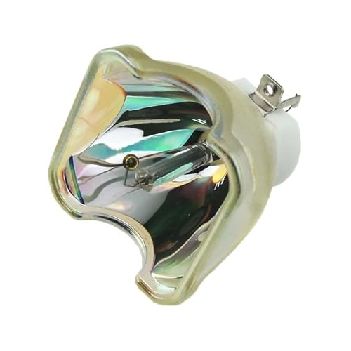Image of SDPOLHYGF Replacement Projector Lamp NP05LP Replacement Projector Bulb/Lamp Compatible with NEC NP901/NP905/ VT700/VT700G/VT800/vt800g/NP90 Projecotrs Projector Lamp Bulb