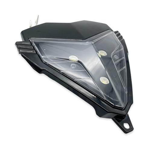 Feu arrière de moto universel DC 12V à haute intensité pour une visibilité nocturne maximale